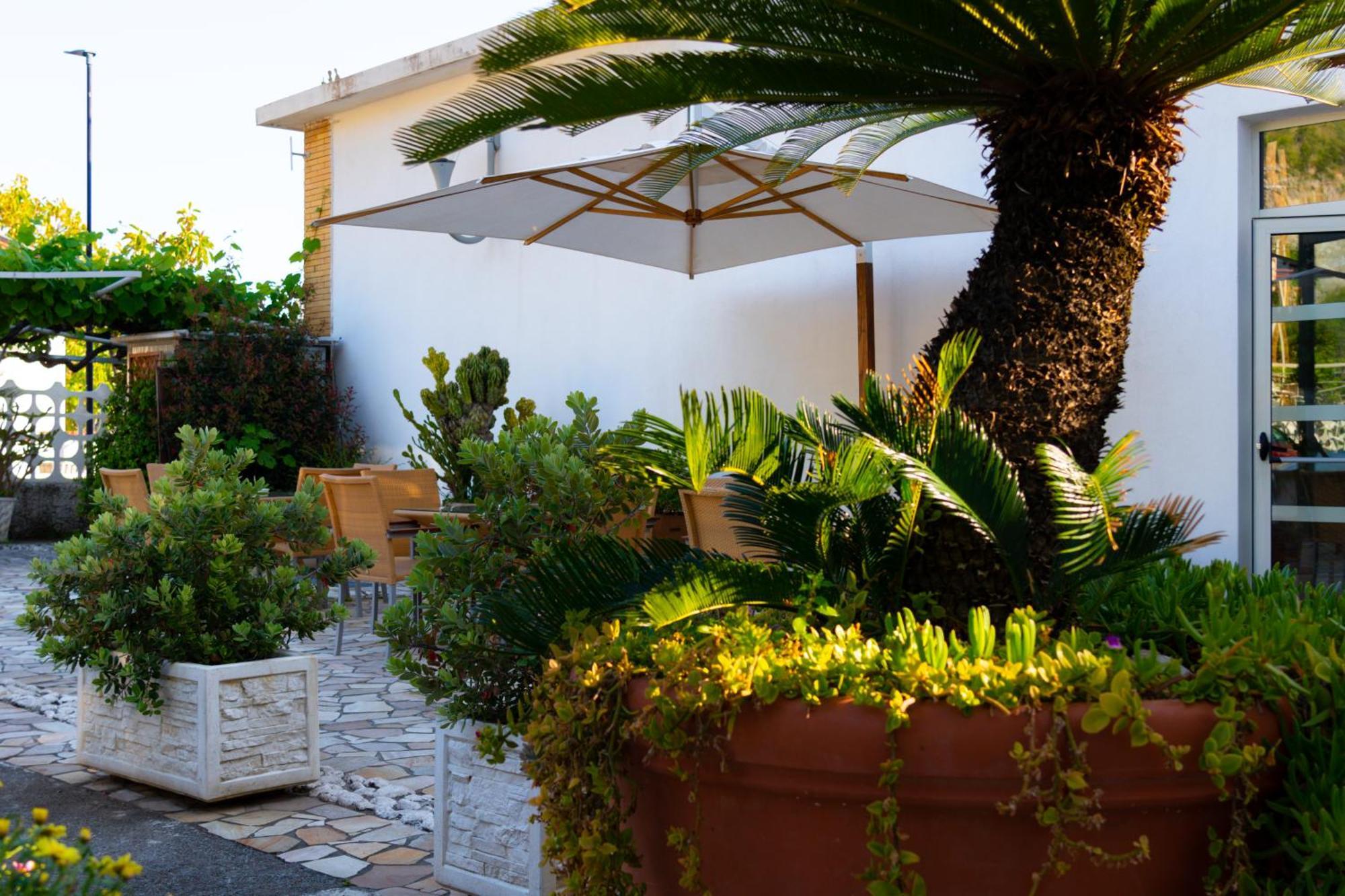 Hotel Garden Praia a Mare Esterno foto